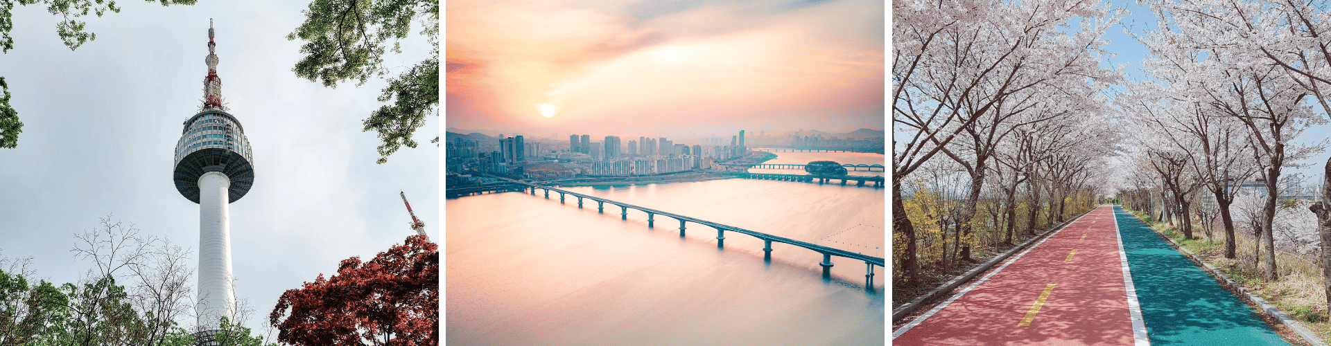 SKH Day 7 SKH Day 7 WOLO Travel